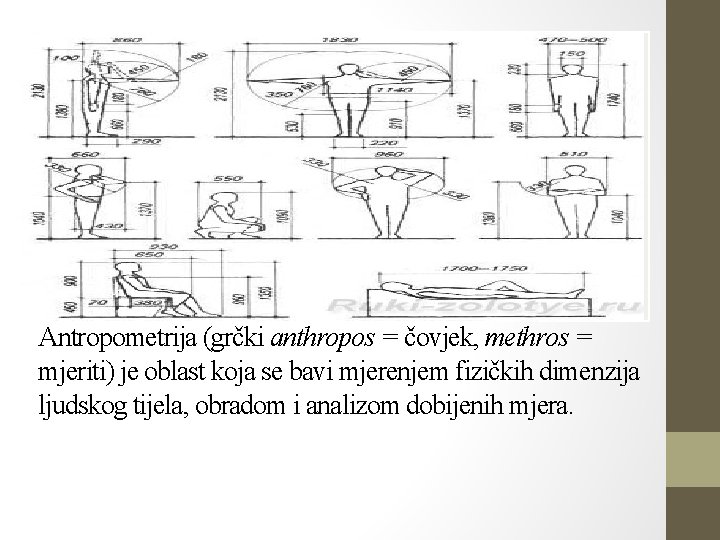 Antropometrija (grčki anthropos = čovjek, methros = mjeriti) je oblast koja se bavi mjerenjem