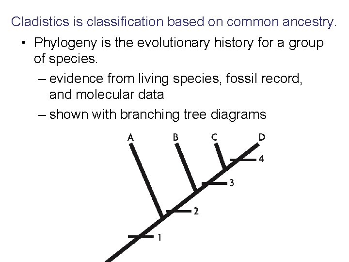 Cladistics is classification based on common ancestry. • Phylogeny is the evolutionary history for