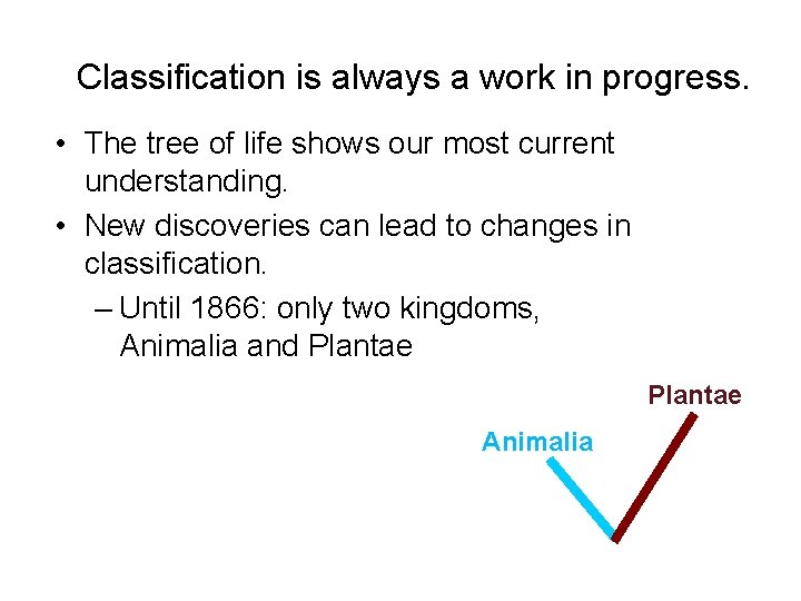 Classification is always a work in progress. • The tree of life shows our