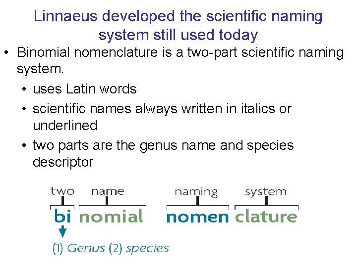 Linnaeus developed the scientific naming system still used today • Binomial nomenclature is a