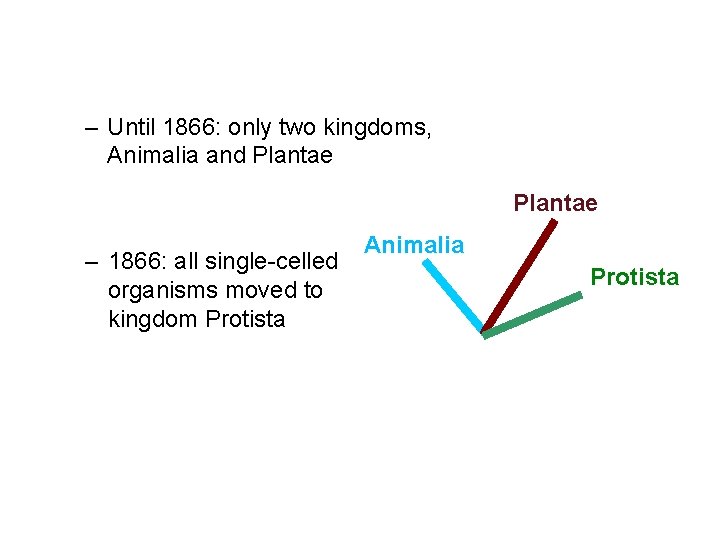 – Until 1866: only two kingdoms, Animalia and Plantae – 1866: all single-celled organisms