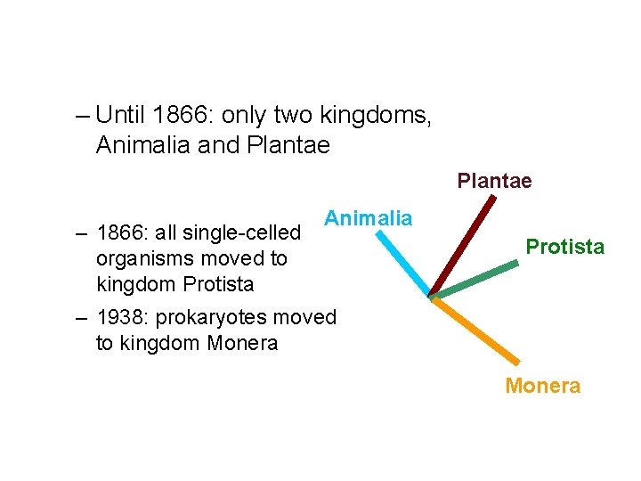 – Until 1866: only two kingdoms, Animalia and Plantae – 1866: all single-celled organisms