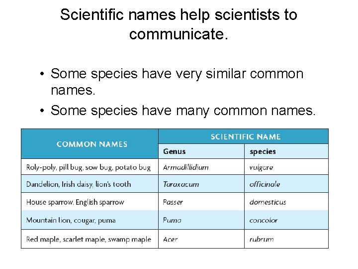 Scientific names help scientists to communicate. • Some species have very similar common names.