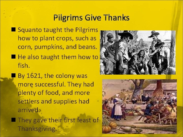 Pilgrims Give Thanks n Squanto taught the Pilgrims how to plant crops, such as