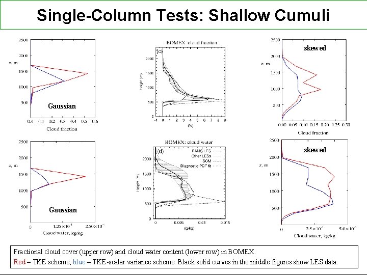 Single-Column Tests: Shallow Cumuli skewed Gaussian Fractional cloud cover (upper row) and cloud water