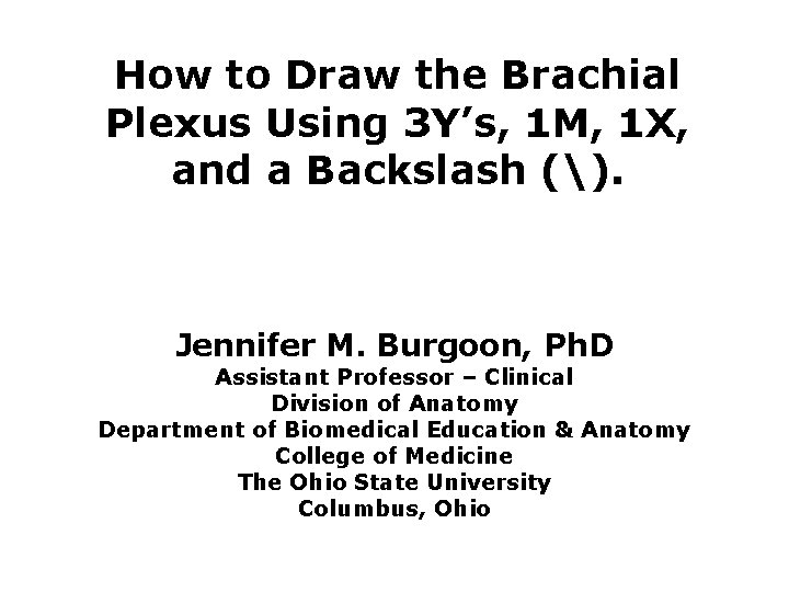 How to Draw the Brachial Plexus Using 3 Y’s, 1 M, 1 X, and