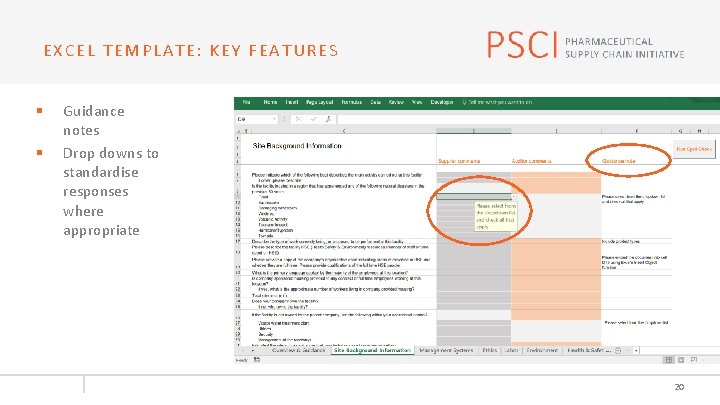 EXCEL TEMPLATE: KEY FEATURES § § Guidance notes Drop downs to standardise responses where