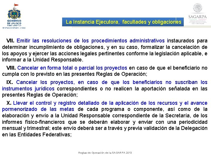La Instancia Ejecutora, facultades y obligaciones VII. Emitir las resoluciones de los procedimientos administrativos