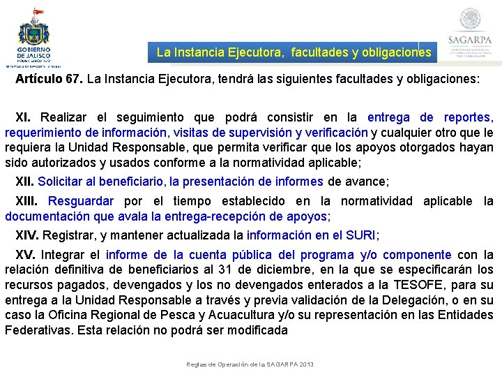 La Instancia Ejecutora, facultades y obligaciones Artículo 67. La Instancia Ejecutora, tendrá las siguientes