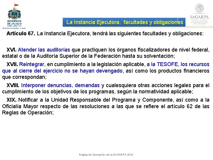 La Instancia Ejecutora, facultades y obligaciones Artículo 67. La Instancia Ejecutora, tendrá las siguientes