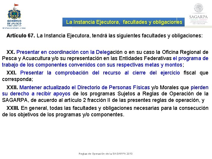 La Instancia Ejecutora, facultades y obligaciones Artículo 67. La Instancia Ejecutora, tendrá las siguientes