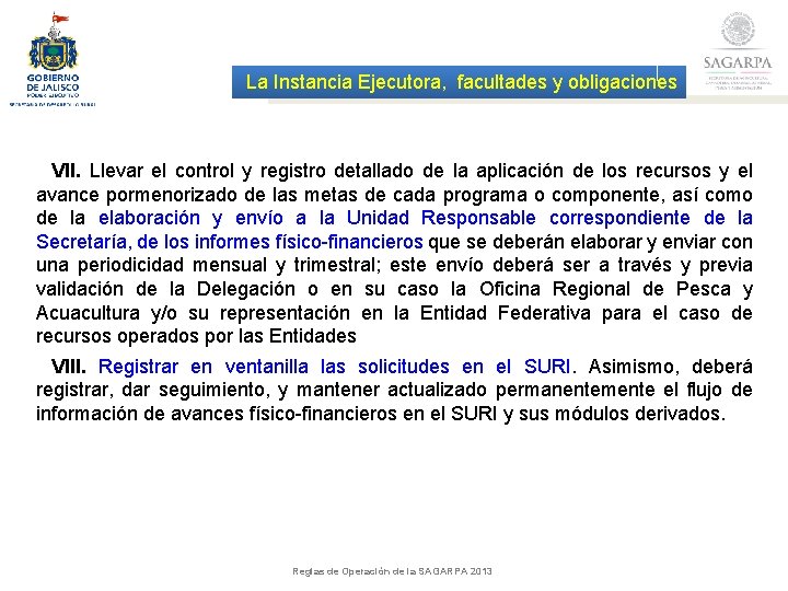 La Instancia Ejecutora, facultades y obligaciones VII. Llevar el control y registro detallado de