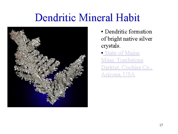 Dendritic Mineral Habit • Dendritic formation of bright native silver crystals. • State of