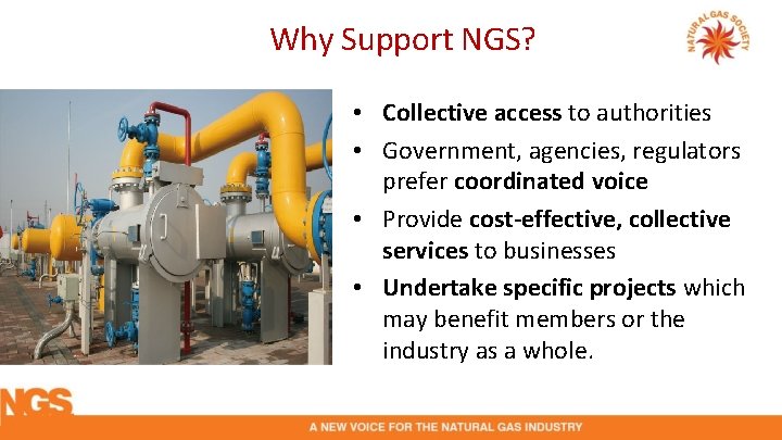 Why Support NGS? • Collective access to authorities • Government, agencies, regulators prefer coordinated