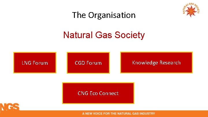 The Organisation Natural Gas Society LNG Forum CGD Forum CNG Eco Connect Knowledge Research