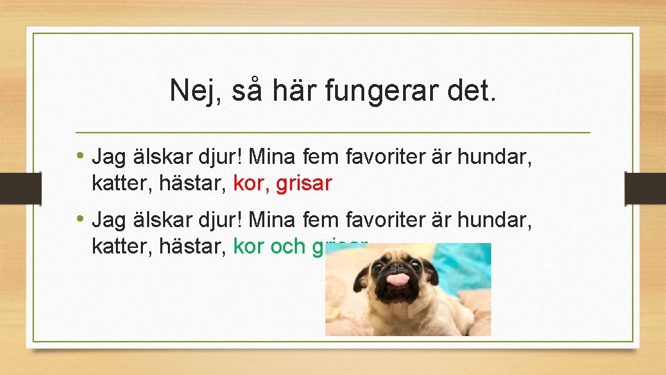 Nej, så här fungerar det. • Jag älskar djur! Mina fem favoriter är hundar,