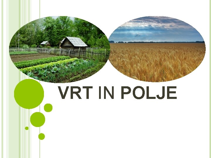 VRT IN POLJE 