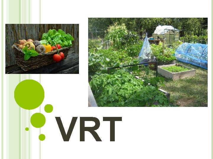 VRT 