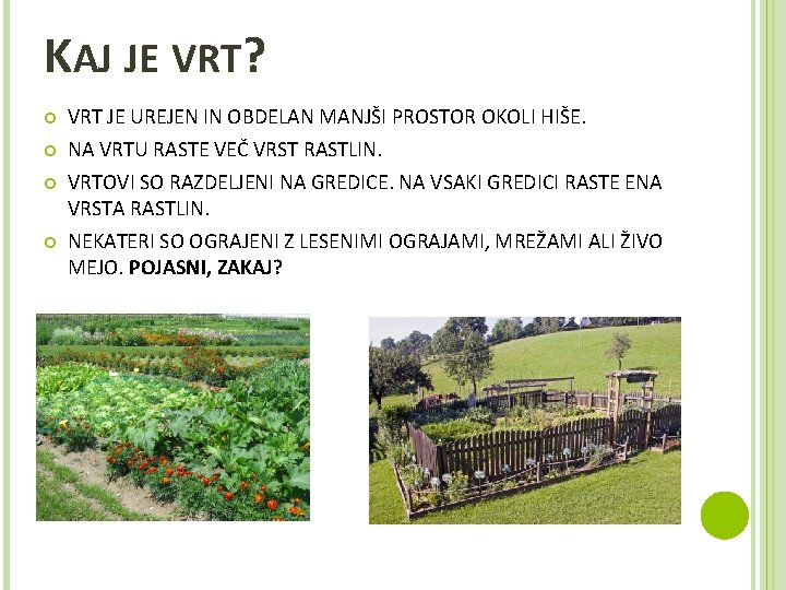 KAJ JE VRT? VRT JE UREJEN IN OBDELAN MANJŠI PROSTOR OKOLI HIŠE. NA VRTU