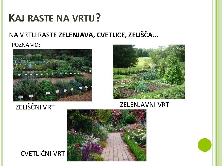 KAJ RASTE NA VRTU? NA VRTU RASTE ZELENJAVA, CVETLICE, ZELIŠČA. . . POZNAMO: ZELIŠČNI