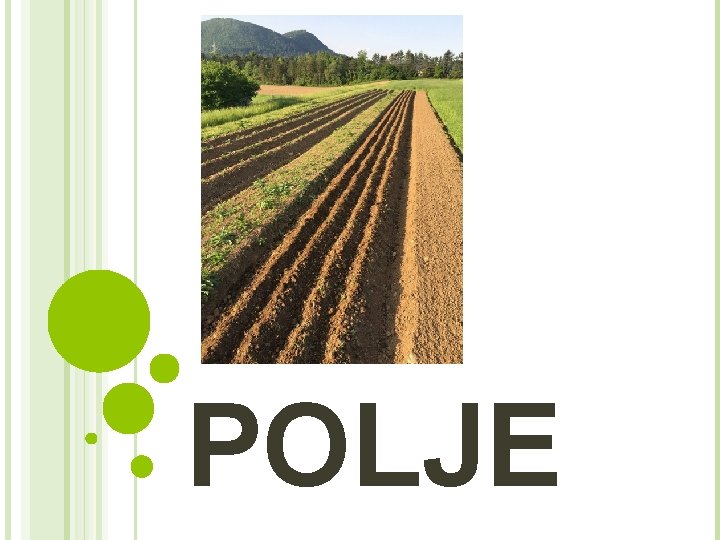 POLJE 