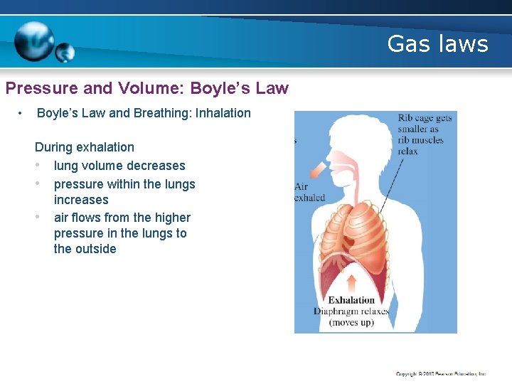 Gas laws Pressure and Volume: Boyle’s Law • Boyle’s Law and Breathing: Inhalation During