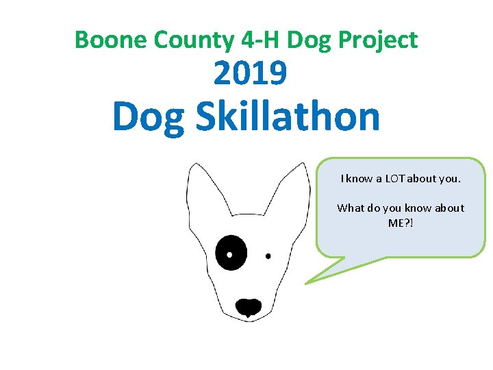 Boone County 4 -H Dog Project 2019 Dog Skillathon I know a LOT about