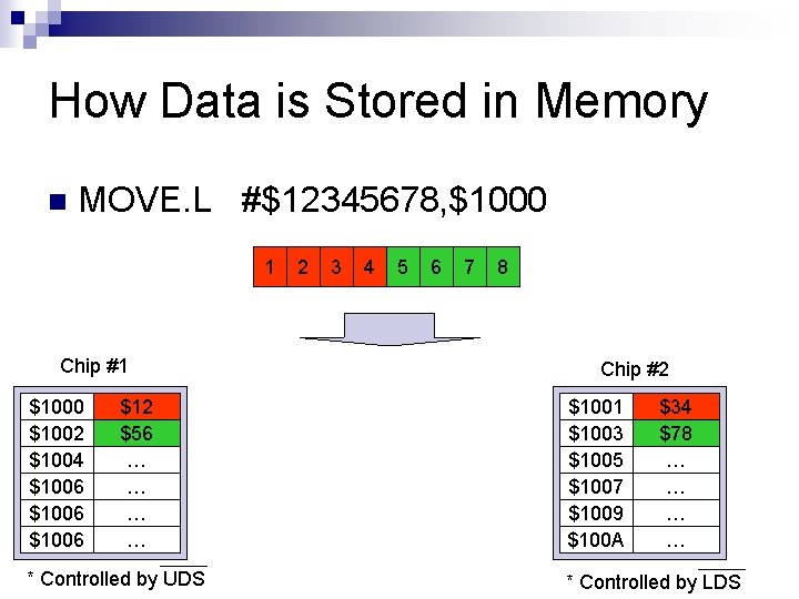 How Data is Stored in Memory n MOVE. L #$12345678, $1000 1 Chip #1