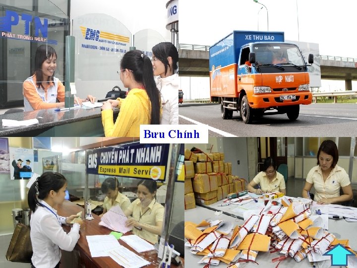 Bưu Chính 