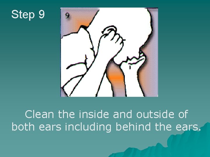 Step 9 Steps 8 a & b Clean the inside and outside of both
