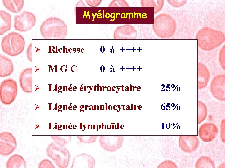 Myélogramme Ø Richesse 0 à ++++ Ø MGC 0 à ++++ Ø Lignée érythrocytaire