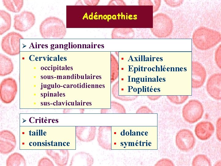 Adénopathies Ø Aires § ganglionnaires Cervicales § § § occipitales sous-mandibulaires jugulo-carotidiennes spinales sus-claviculaires