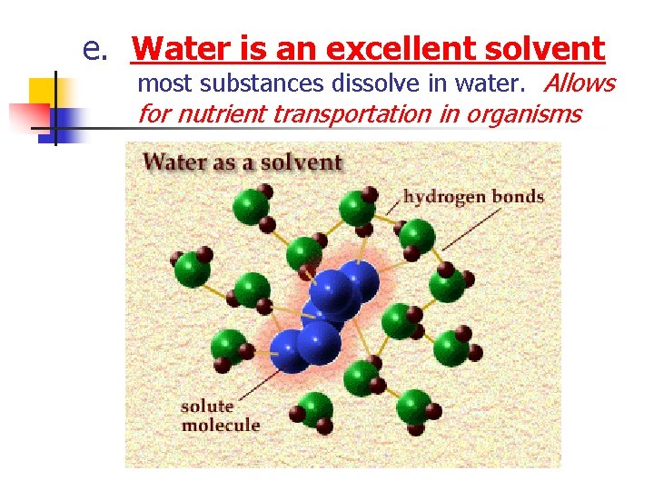 e. Water is an excellent solvent most substances dissolve in water. Allows for nutrient