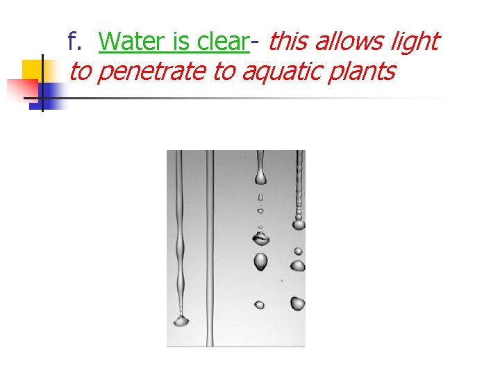 f. Water is clear- this allows light to penetrate to aquatic plants 