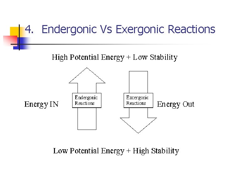 4. Endergonic Vs Exergonic Reactions 