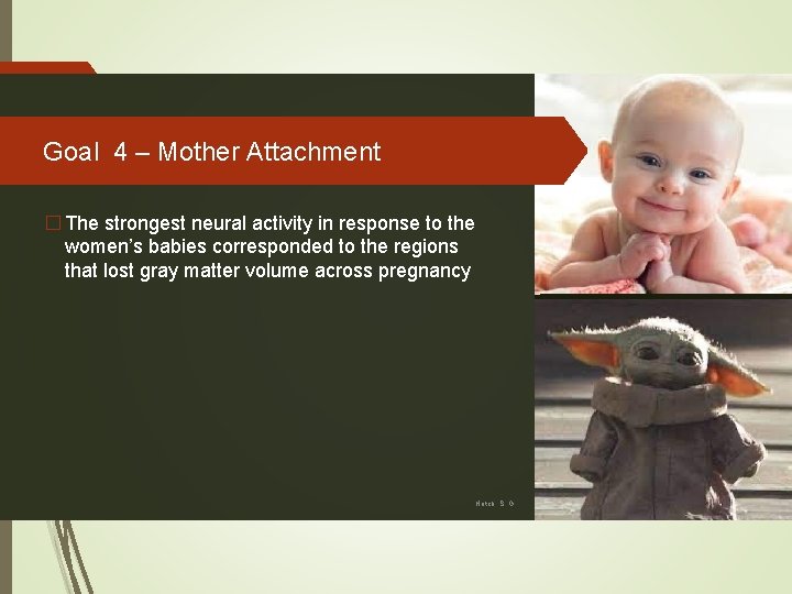 Goal 4 – Mother Attachment � The strongest neural activity in response to the