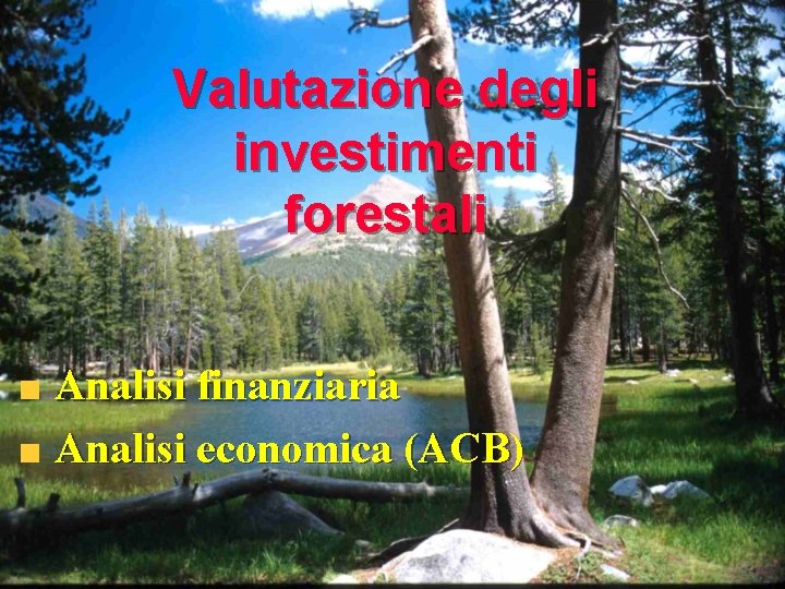 Valutazione degli investimenti forestali Analisi finanziaria Analisi economica (ACB) 