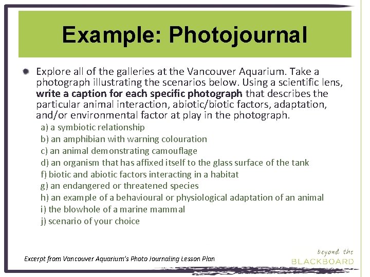 Example: Photojournal Explore all of the galleries at the Vancouver Aquarium. Take a photograph