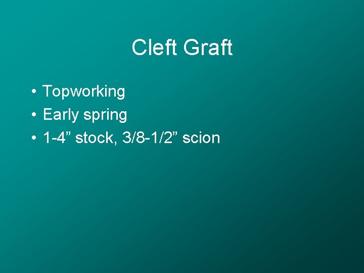 Cleft Graft • Topworking • Early spring • 1 -4” stock, 3/8 -1/2” scion