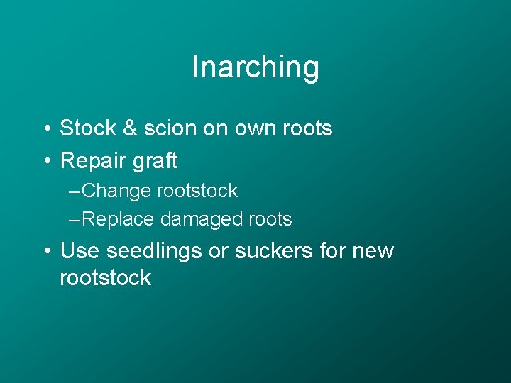Inarching • Stock & scion on own roots • Repair graft – Change rootstock