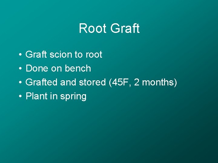 Root Graft • • Graft scion to root Done on bench Grafted and stored