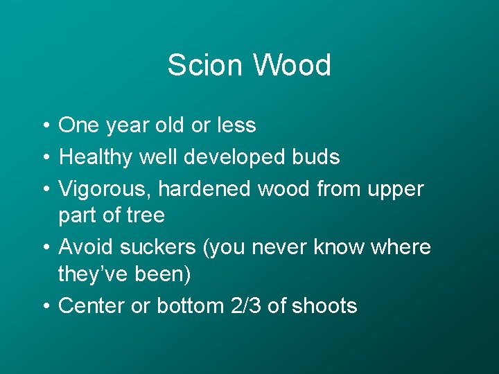 Scion Wood • One year old or less • Healthy well developed buds •