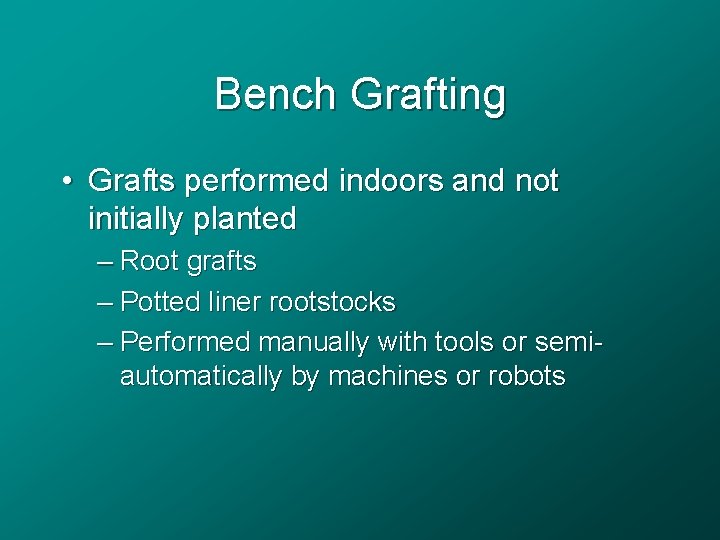 Bench Grafting • Grafts performed indoors and not initially planted – Root grafts –