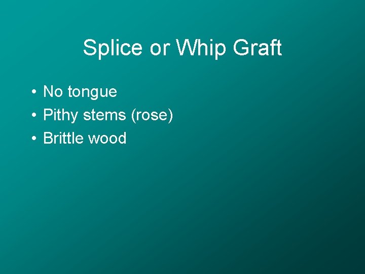 Splice or Whip Graft • No tongue • Pithy stems (rose) • Brittle wood