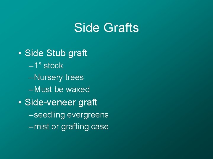 Side Grafts • Side Stub graft – 1” stock – Nursery trees – Must