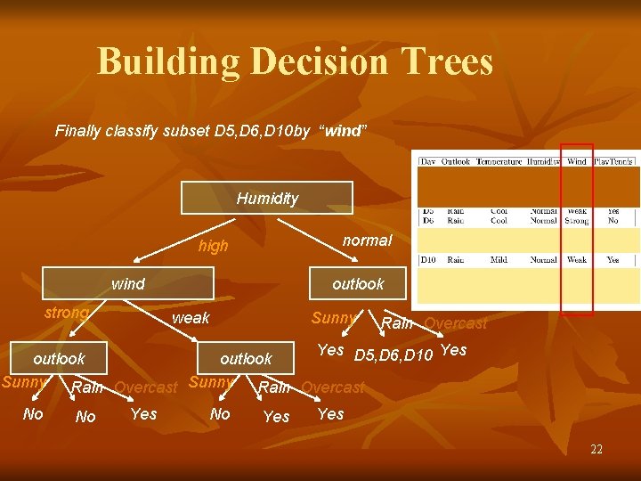 Building Decision Trees Finally classify subset D 5, D 6, D 10 by “wind”