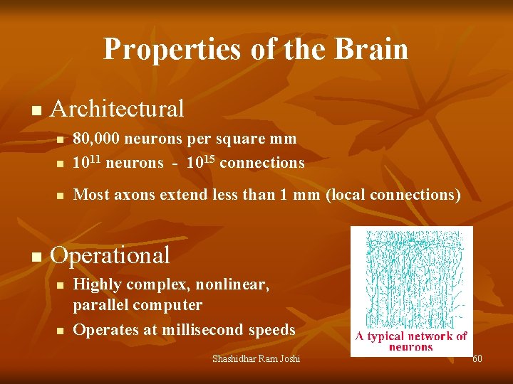 Properties of the Brain n Architectural n 80, 000 neurons per square mm 1011