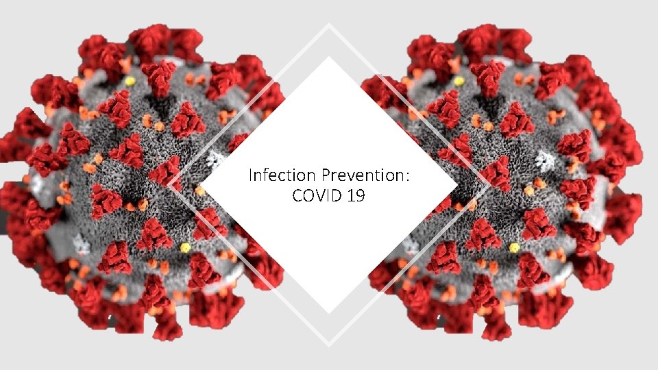 Infection Prevention: COVID 19 