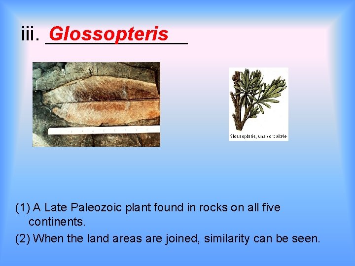 iii. _______ Glossopteris (1) A Late Paleozoic plant found in rocks on all five