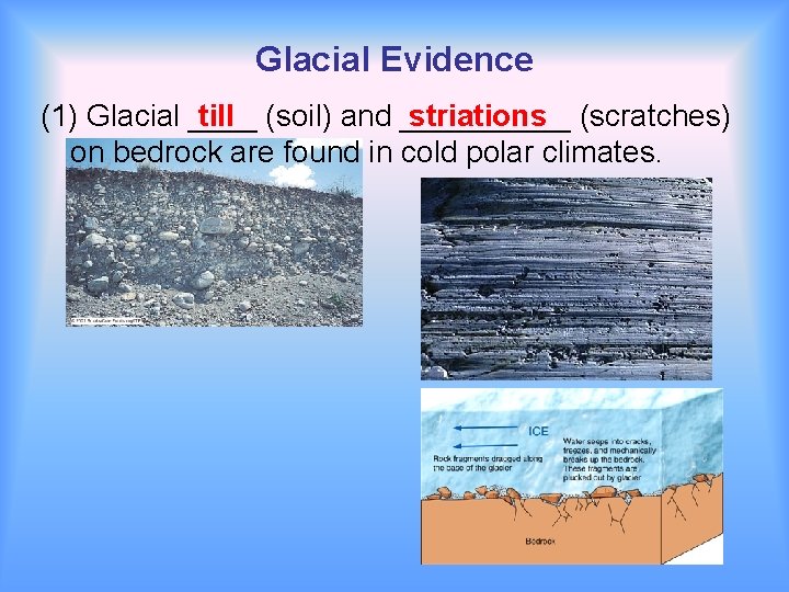 Glacial Evidence (1) Glacial ____ till (soil) and _____ striations (scratches) on bedrock are